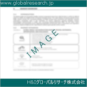 グローバルリサーチ調査資料のイメージ